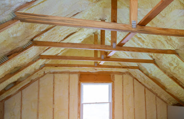 Best Spray Foam Insulation  in Houston, TX